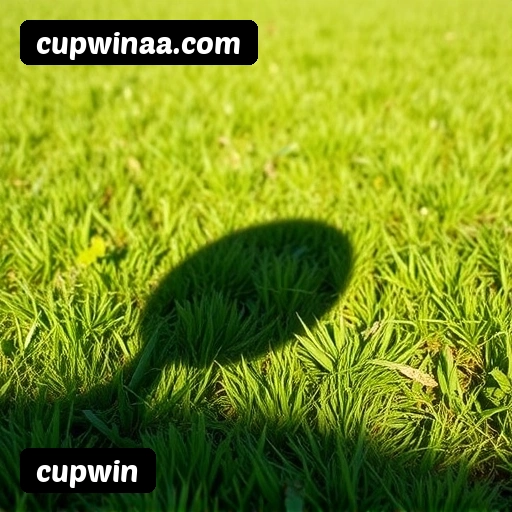 Estatísticas cupwin 2026 – 87.429 jogadores ativos, R$ 47,2M em prêmios pagos, RTP 96,52%
